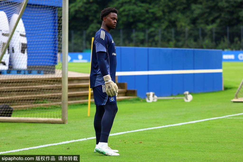 法甲名将奥马里加盟汉堡：能否成为防线新支柱？